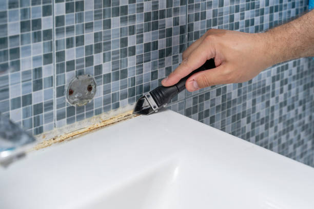 Best Residential Mold Remediation in Bridgetown, OH